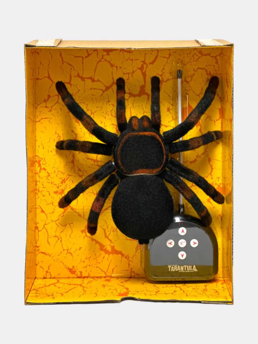 Masofadan boshqariladigan o'rgimchak Tarantula Cute Sunlight, realistik pultli o'yinchoq — 3-rasm