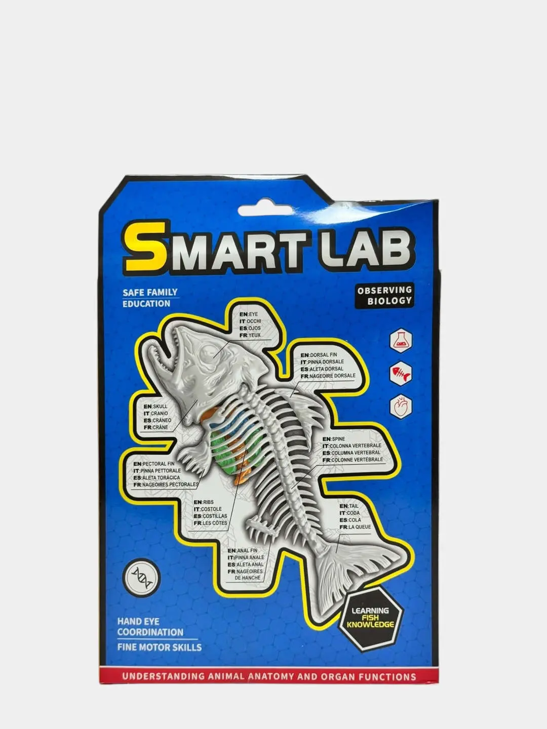 Piranha Laboratoriya tadqiqotlari to'plami, Baliq anatomiyasini o'rganish, 3+ yoshli bolalar uchun STEM — 3-rasm